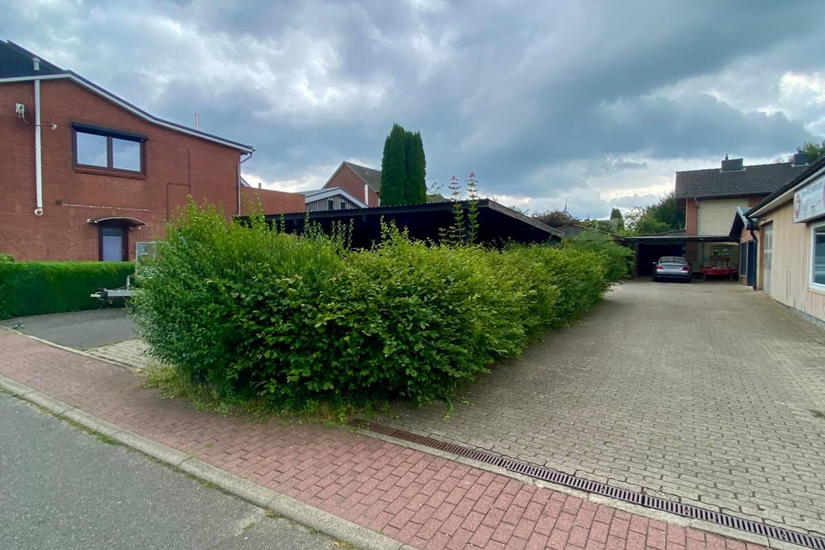 Vorher: Hecke an der Einfahrt wild und ungeschnitten ausgewachsen
